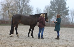 Winteraanbieding: maak kennis met coaching met een paard.